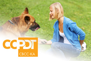 Online Course Dog Psychology 101 Certificate And Ceus