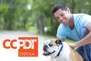 How To Become A Certified Dog Trainer Ccpdt