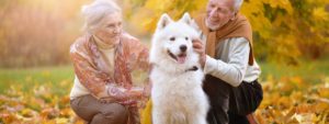 People petting dog