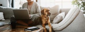 Dog sitting by owner