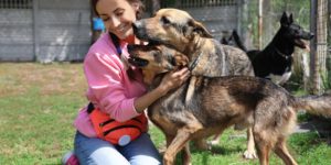 volunteer working with dogs outside