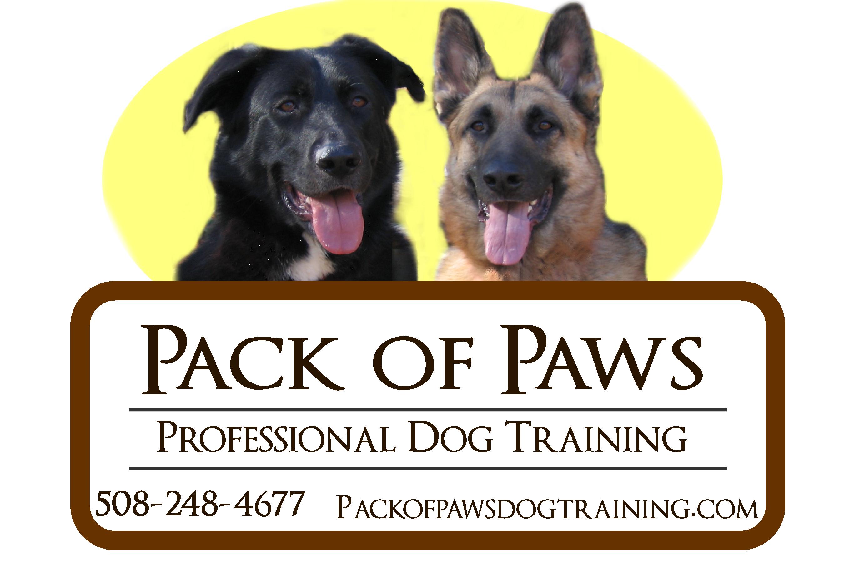Certified Dog Trainer Profile Donna D. Savoie