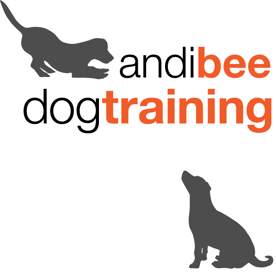 Certified Dog Trainer Profile Andrea Brady, Brooklyn, NY