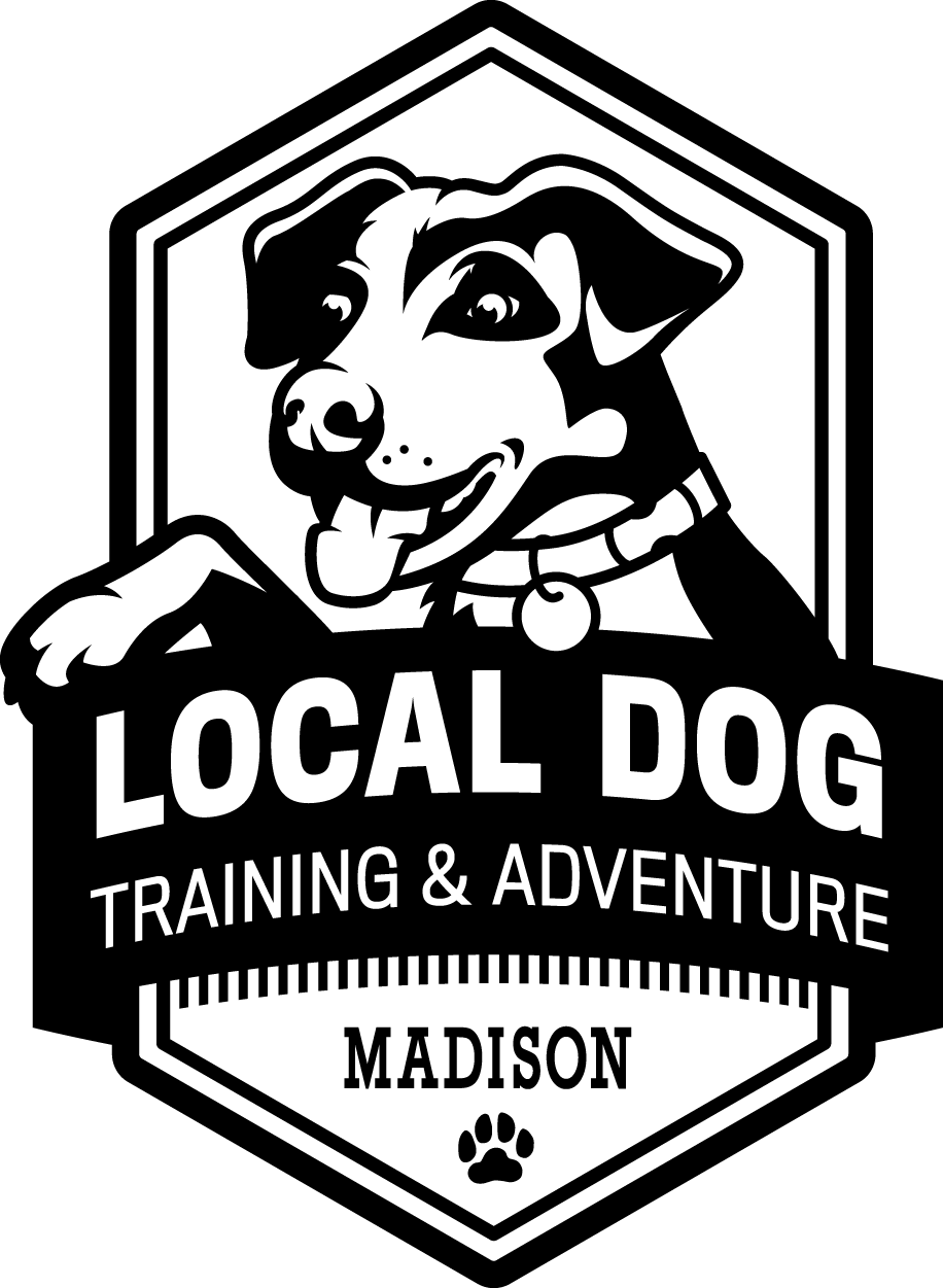 Certified Dog Trainer Profile Jessica Jo CadyBartholomew