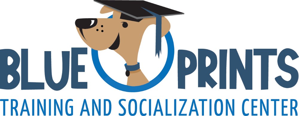 Certified Dog Trainer Profile Lishelle Nicole Fazzone